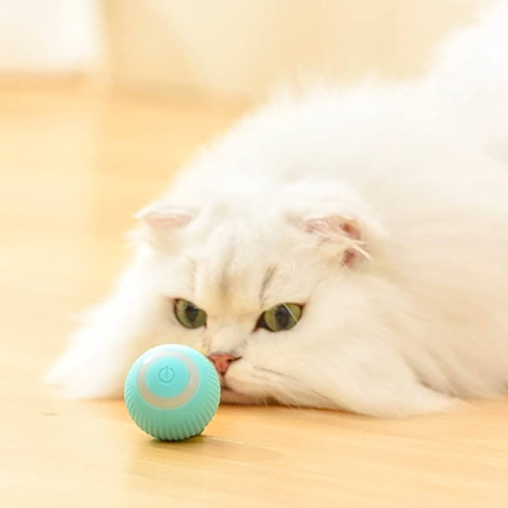 Jouets intelligents à bille roulante pour chat
