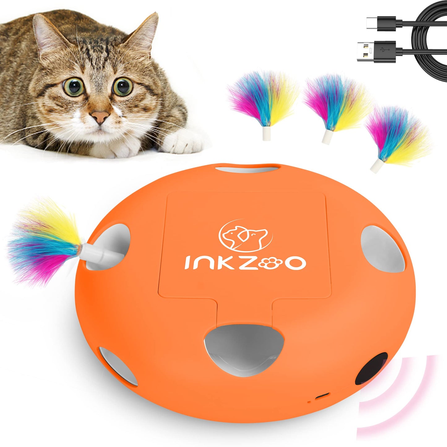 Jouets interactifs pour chats