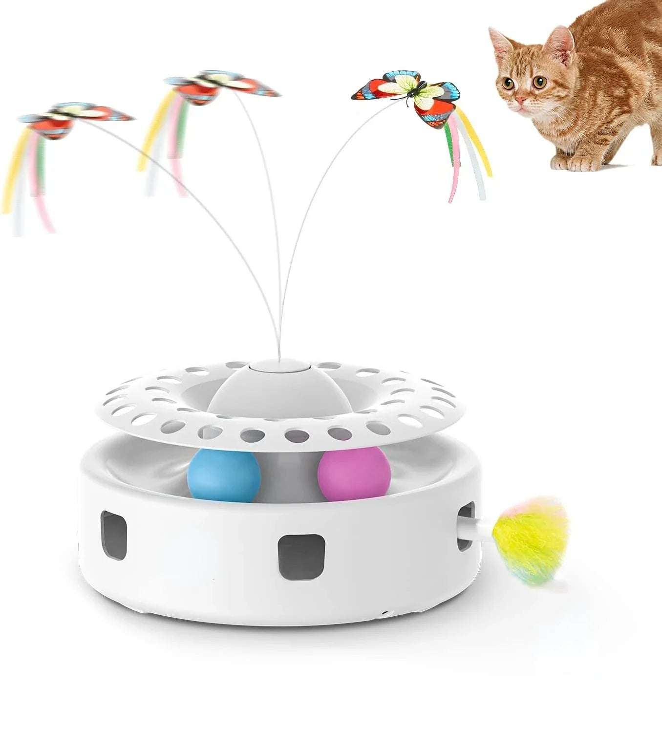Jouets interactifs pour chats