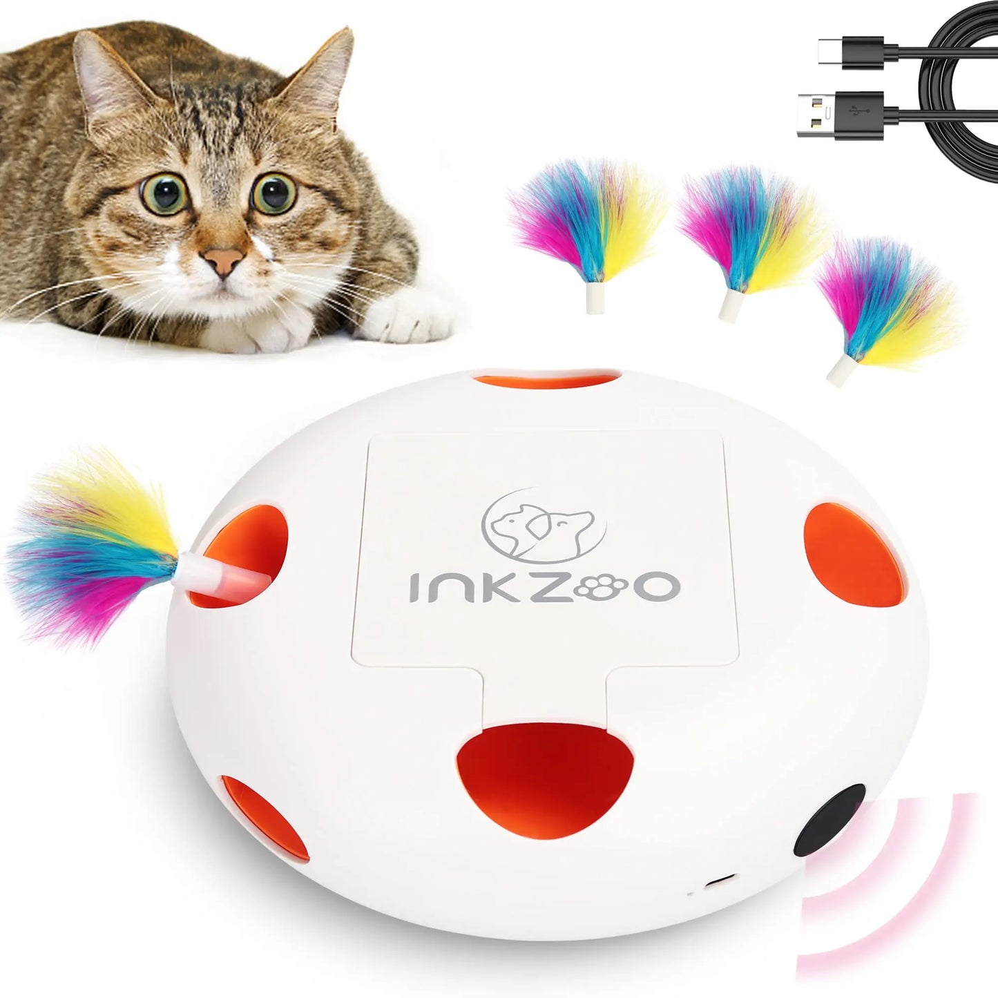 Jouets interactifs pour chats