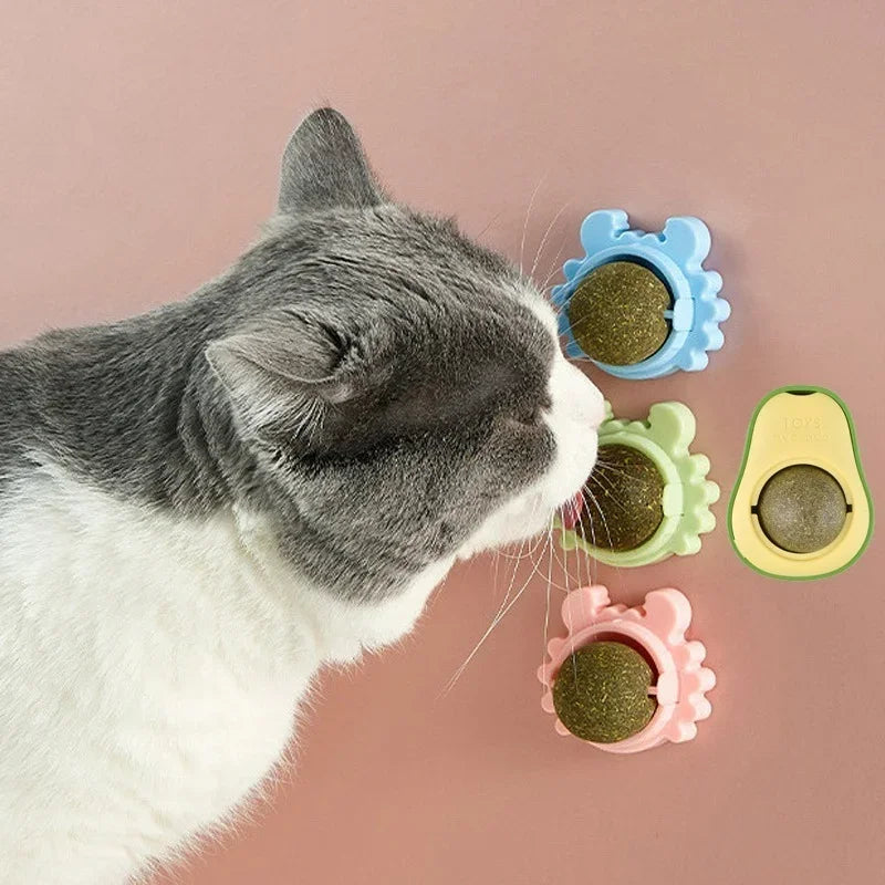 Pièces Boule Murale Avocat à l'Herbe