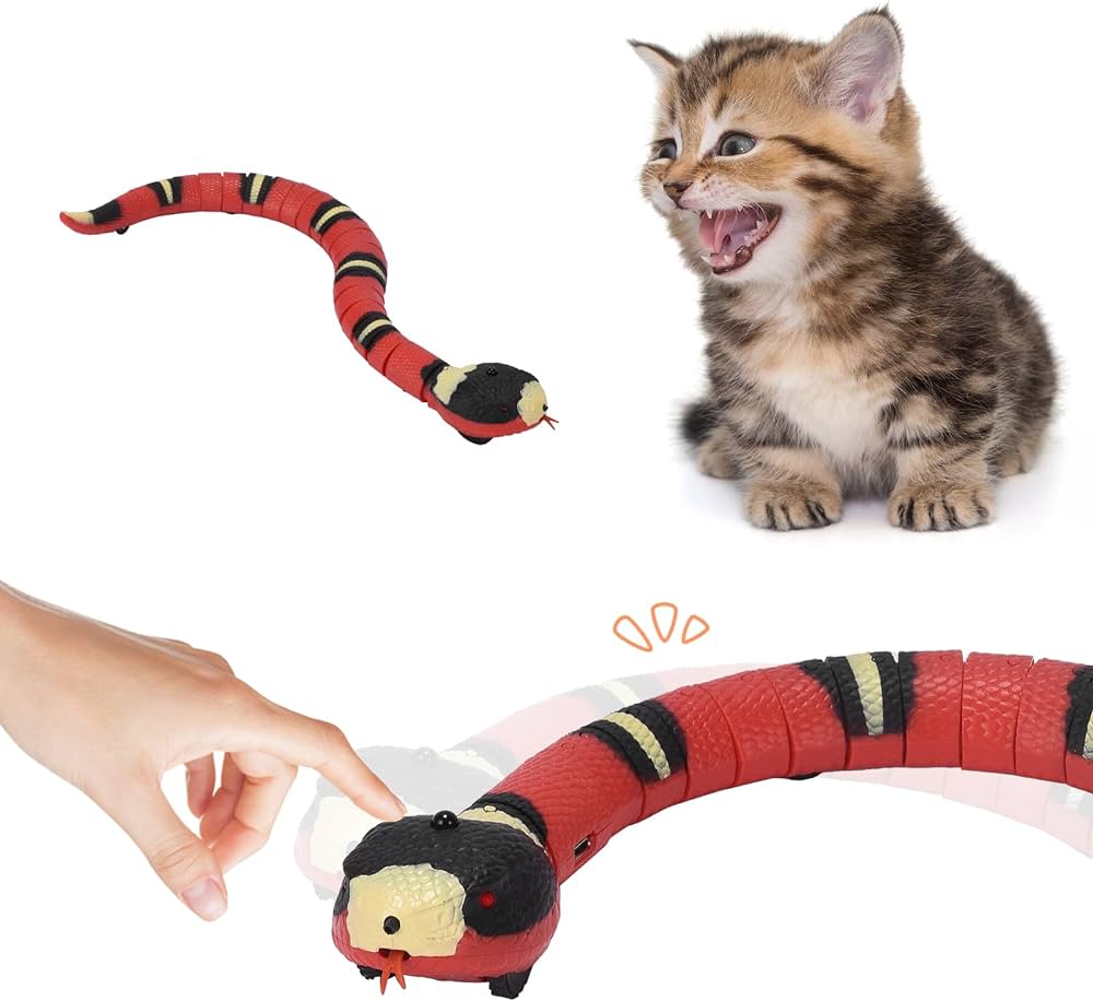 Jouet serpent interactif pour chat