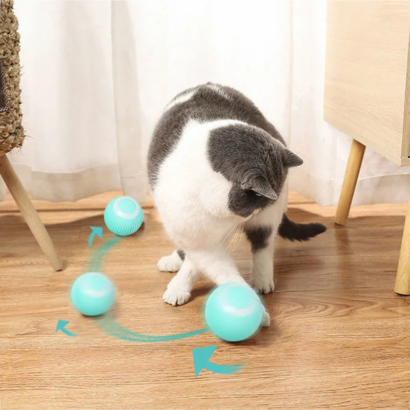Jouets intelligents à bille roulante pour chat