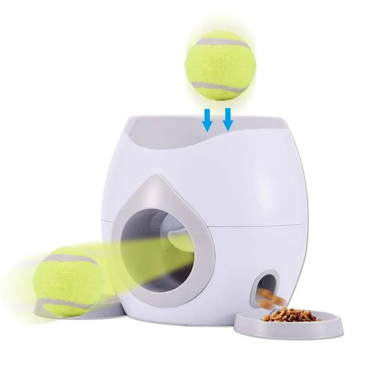 Lanceur de tennis pour chien