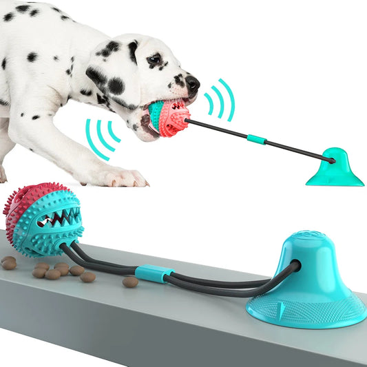 Jouets pour Grands Chiens - Balle avec Ventouse et Corde