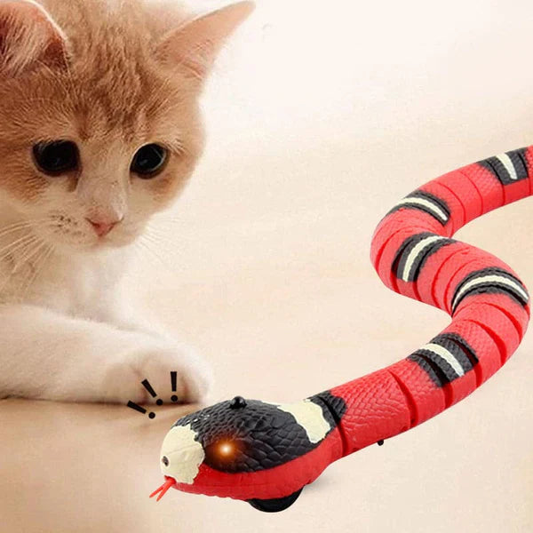 Jouet serpent interactif pour chat
